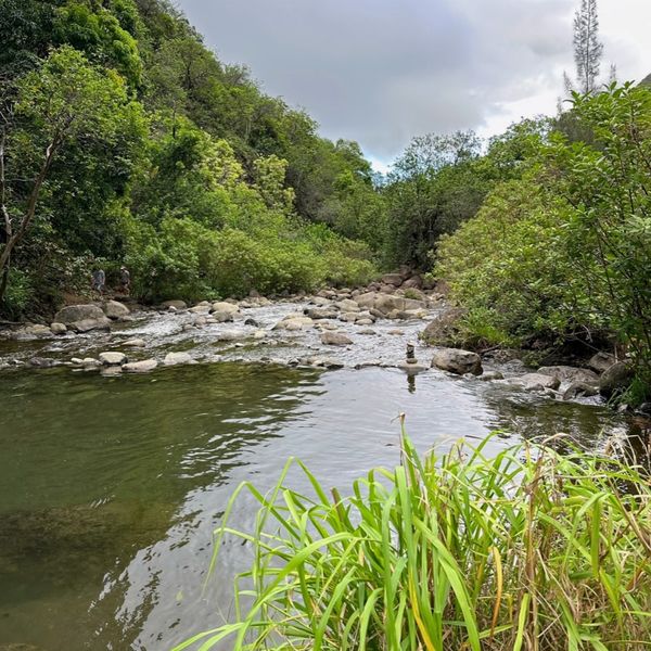 remote image