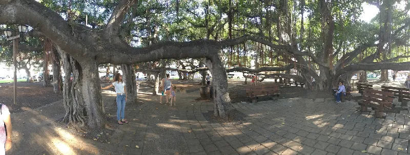 remote image