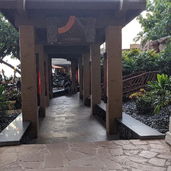 remote image