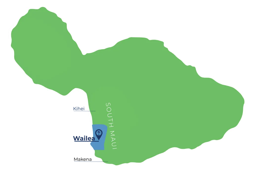 remote image