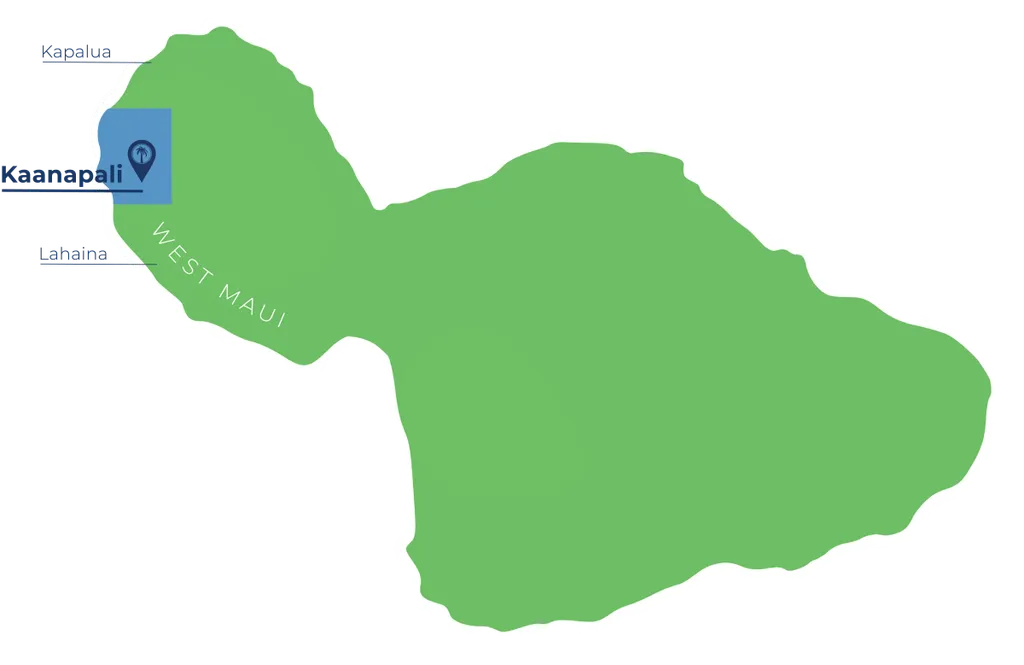 remote image