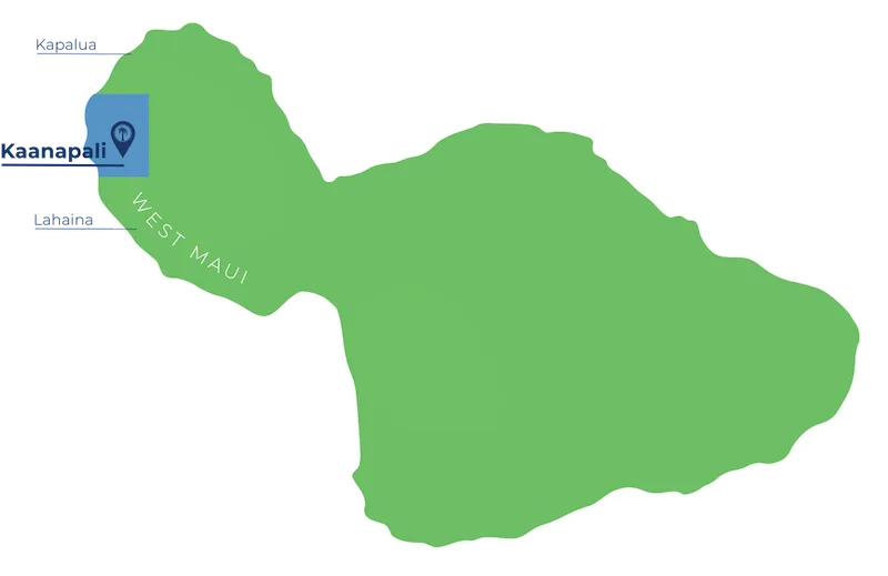 remote image