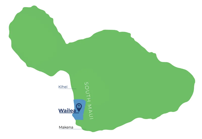 remote image