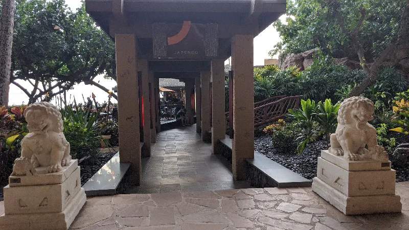 remote image
