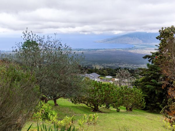 remote image