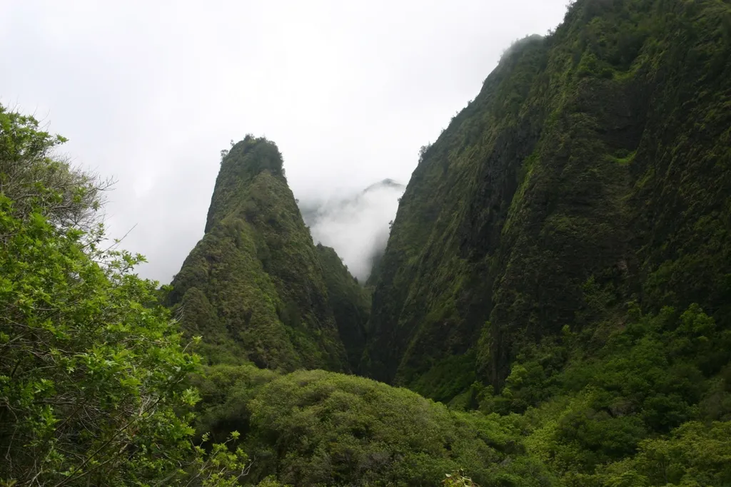 remote image