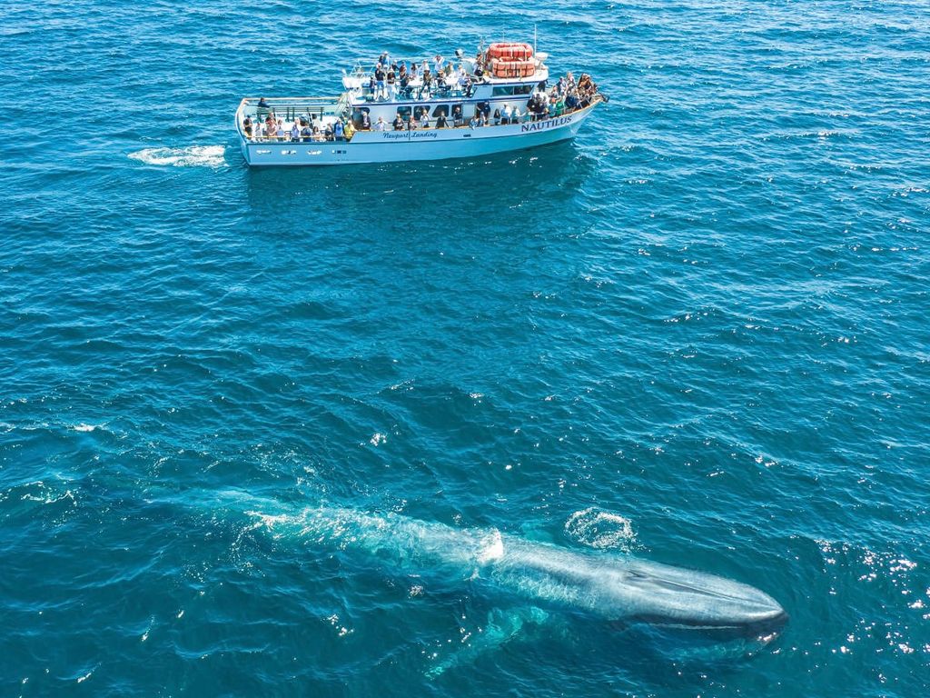 remote image