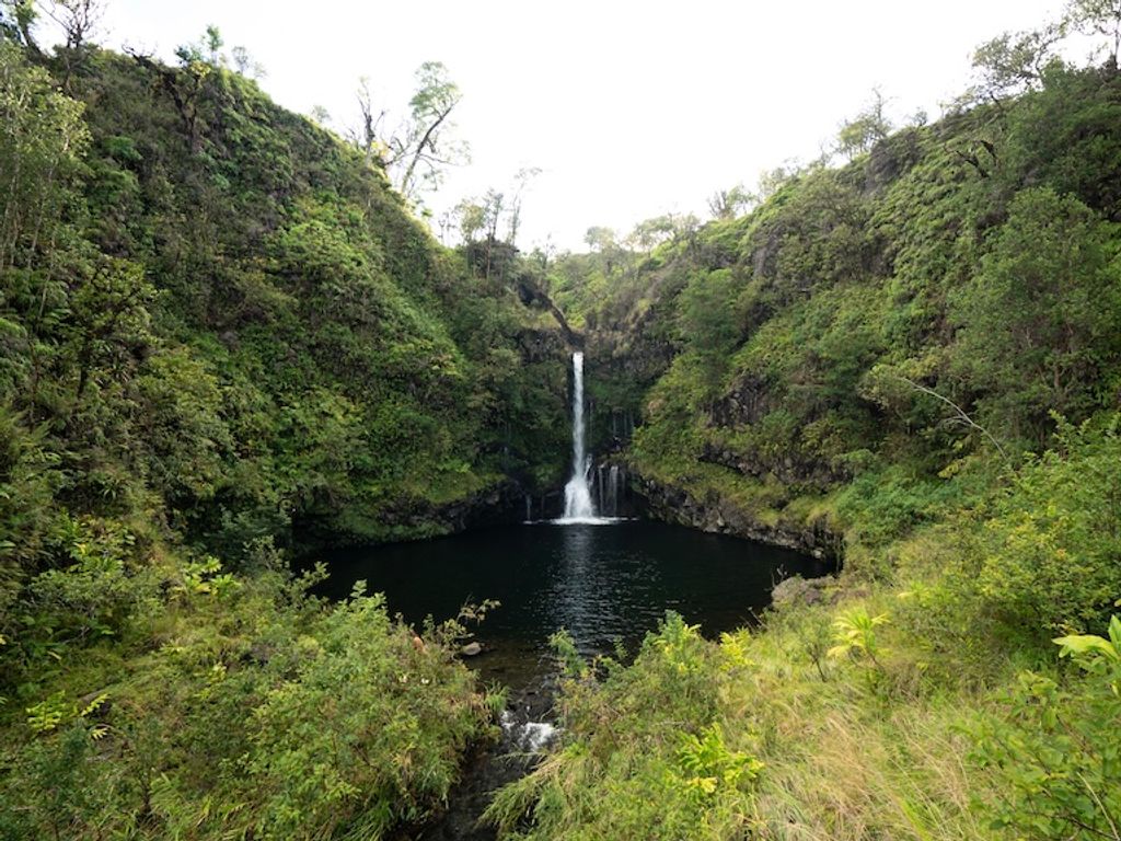 remote image