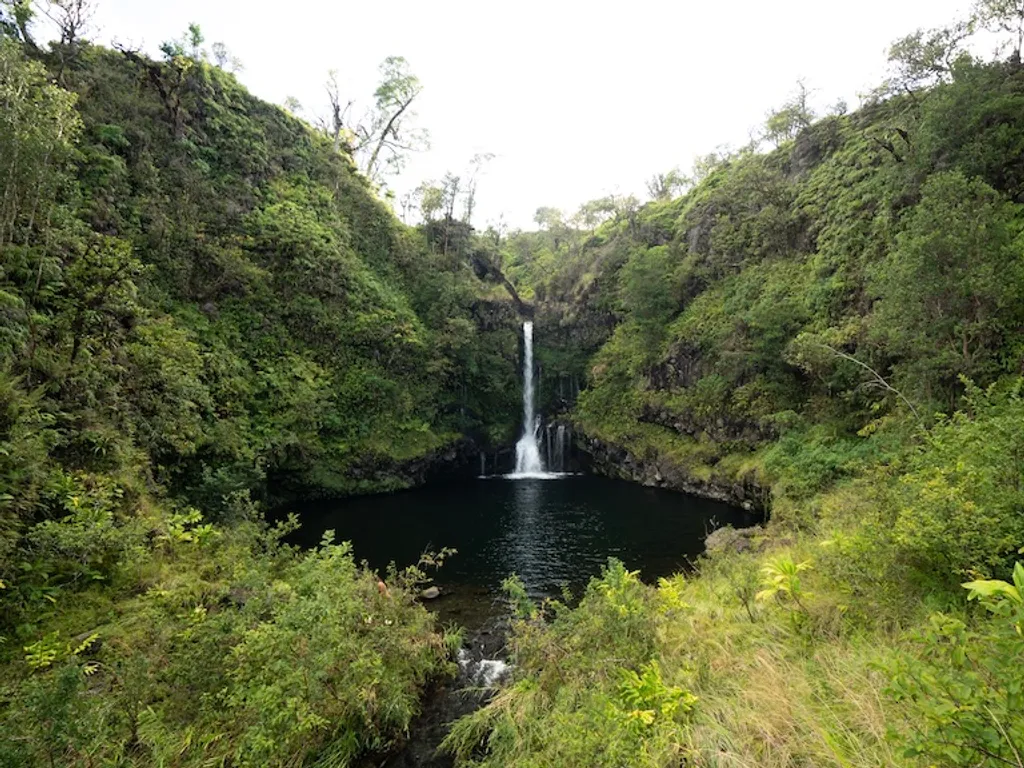 remote image