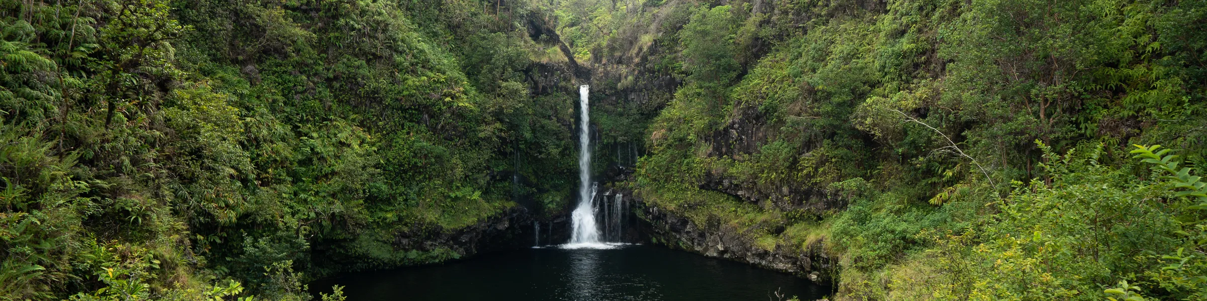 remote image