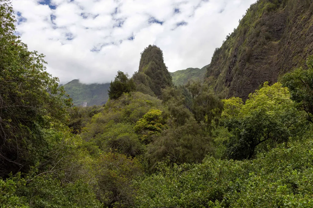 remote image