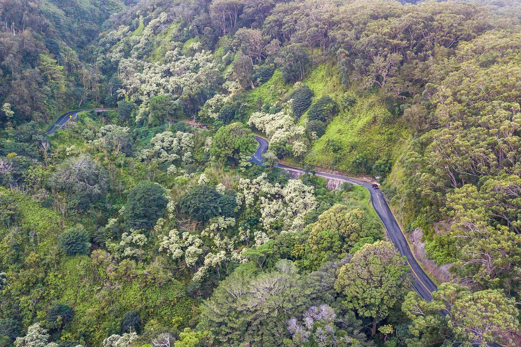 remote image