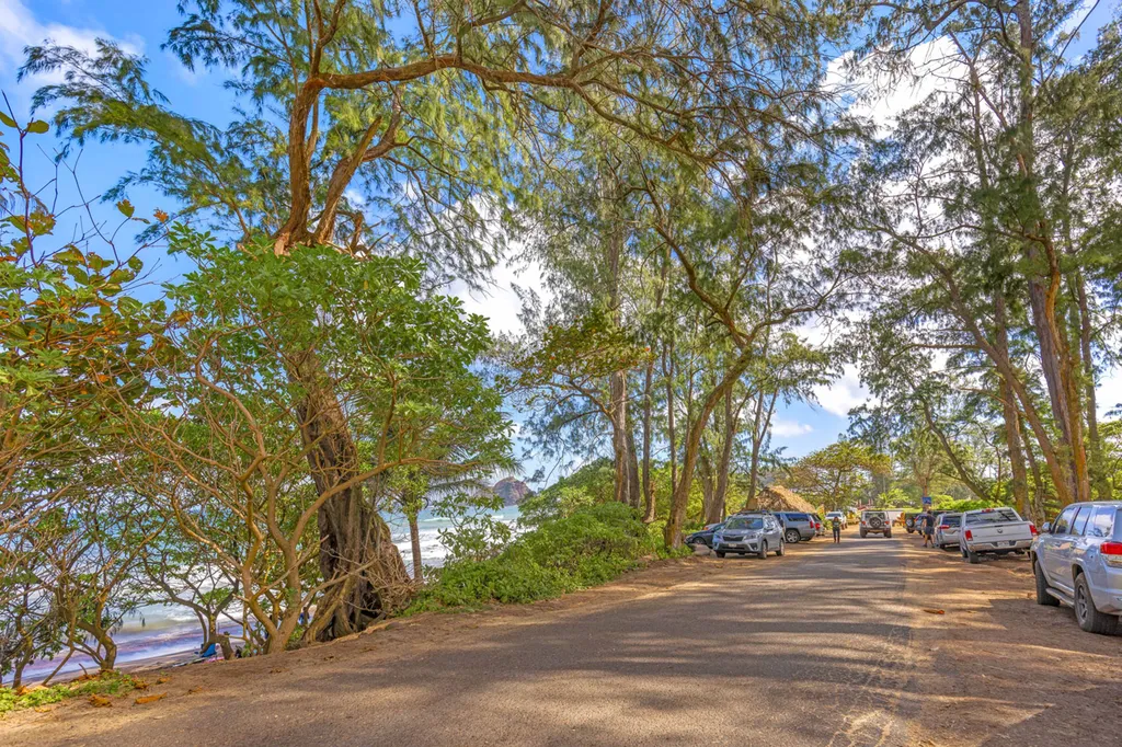 remote image