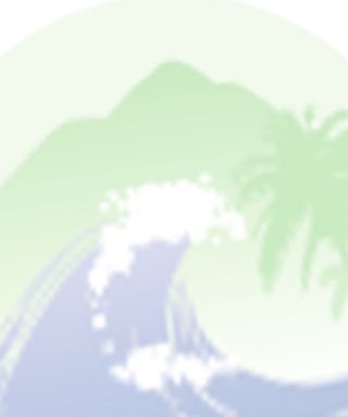 remote image