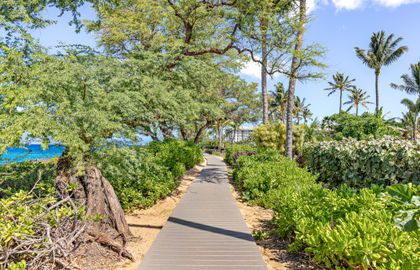 A scenic beach boardwalk stretches for miles