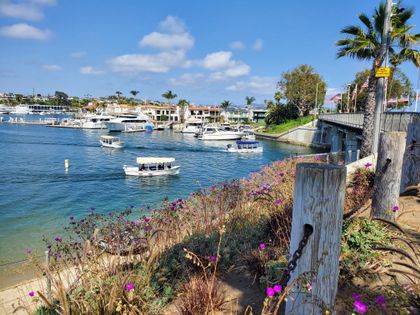 See Newport from its best angle: the water! It couldn't be easier to rent and navigate an electric boat! A must-do!