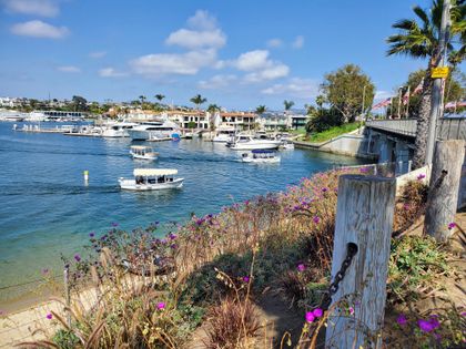 See Newport from its best angle: the water! Kayak, standup paddle, or rent an electric boat and float past the multimillion dollar mansions.