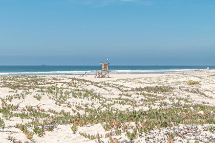 The view of the beach in front of your rental. The small sand dunes at the foot of your rental transition into soft sand beach.