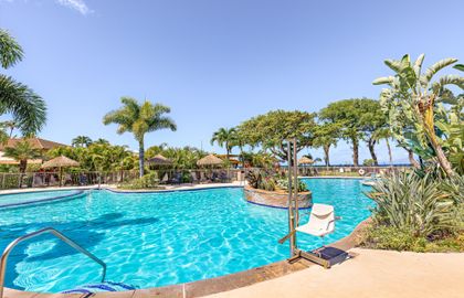 2 heated pools and a shallow wading pool for children offer plenty of fun for everyone!